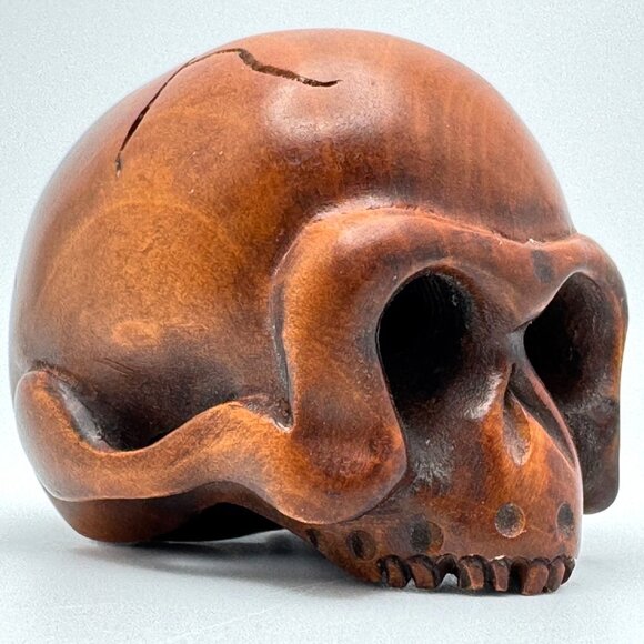 Netsuke Large Skull Hardwood Carving Sculpture Japanese Vintage - Picture 5 of 10